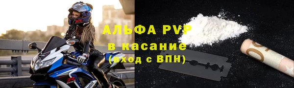 PSILOCYBIN Вязьма