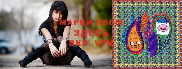 PSILOCYBIN Вязьма