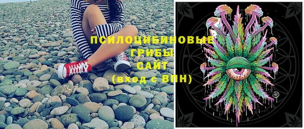 PSILOCYBIN Вязьма