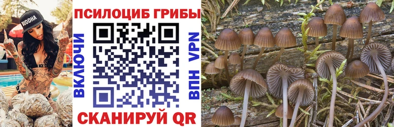 Галлюциногенные грибы Psilocybe  блэк спрут ONION  darknet формула  Игра 